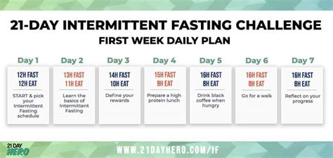 A Beginners Guide To Intermittent Fasting Daily Plan And Schedule 2023
