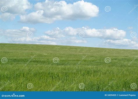 Green Pasture With Blue Sky Stock Image Image Of Picturesque Clouds