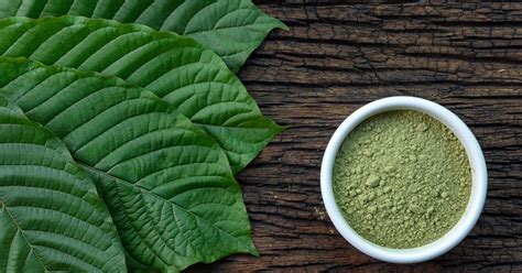 New Kratom Death Reports Still Leave More Questions Than Answers | HuffPost