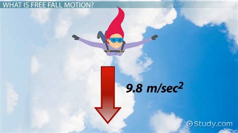Overview Of Graphs Of Free Fall Motion Video And Lesson