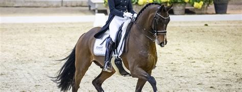 Tricky van baalen was the youngest and the smartest of the van baalen brothers. Marlies van Baalen wint CDI4* Kür op Muziek | CDI Lier