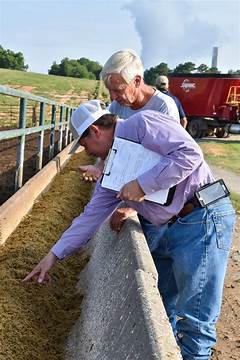 The Cattleman S Dilemma Missed Connections On The Waco Plains