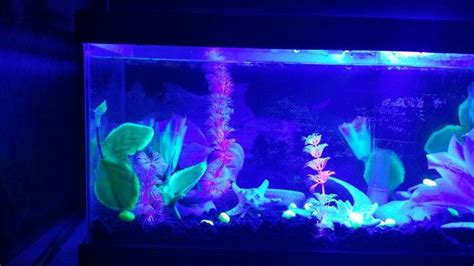 Glow Aquarium Fish Tanks Fresh Water Aquarium Glow Goldfish Bowl