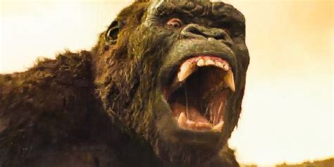 A place for anything related to the lovestruck ape! Movie Legends: What Animal Actually Inspired King Kong's ...