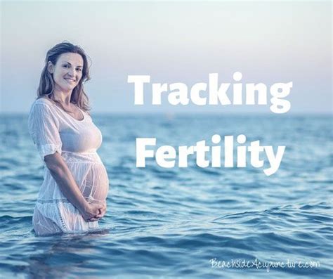 Tracking Fertility 4 Easy Ways To Predict Ovulation On The Beachside