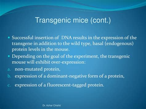 You can do gene silencing, which in many cases the transgene has landed any old place and the resulting organism works. PPT - Transgenic Animals PowerPoint Presentation - ID:4839448