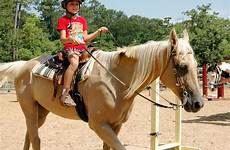 horseback horse experience exciting fulfilling