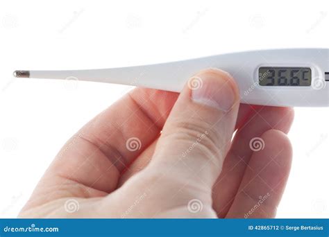 Hand Holding Electronic Thermometer Stock Photo Image Of Health