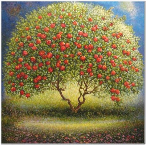 Pomegranate Tree Kite Runner Tree G4kkjyggbw