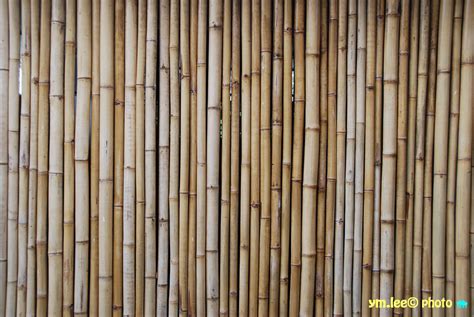 Bamboo Wall Decorations Bamboo Wall Bamboo Wall