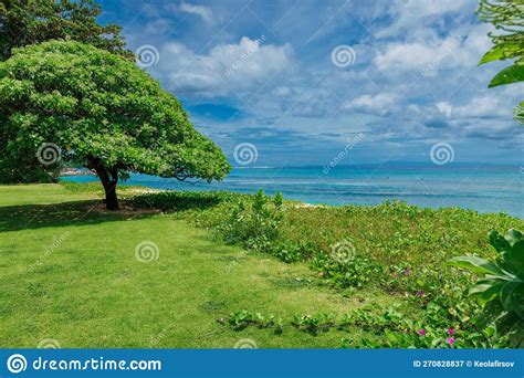 Tropical Coastline In Bali Scenic Coastline With Blue Ocean Stock