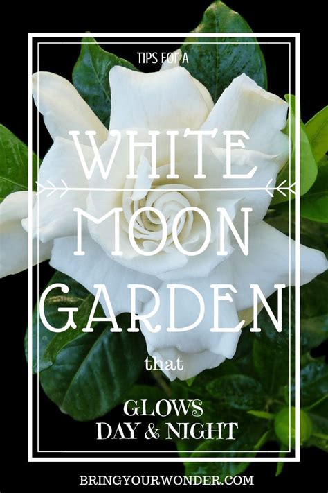 White Moon Gardens Bring Your Wonder Moon Garden White Flowers