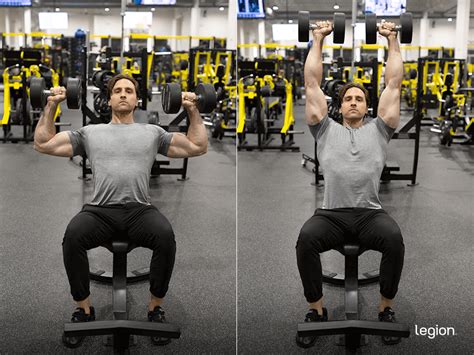 Master Seated Dumbbell Shoulder Press Form For Growth Legion