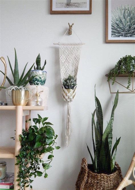 Easiest indoor plant hanger in a minute(malayalam)/ simple macrame plant hanger/indoor plants hanger. Pin on Macrame Plant Hangers