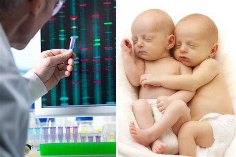 Chinese Scientist Claims Worlds First Genetically Edited Babies