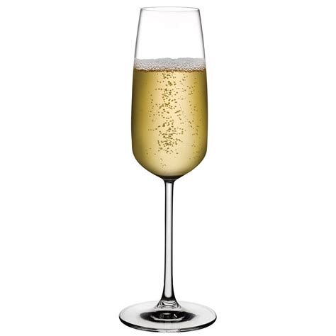 Nude Mirage Cl Champagne Flute Doos Stuks Glazenmagazijn Nl