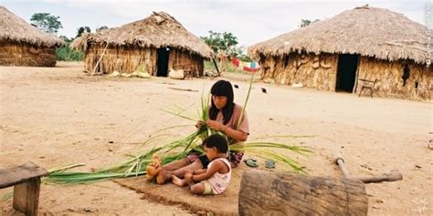 Aldeia Wederã Mato Grosso Indigenas No Brasil Povos Indígenas