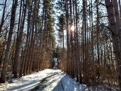 Winter Hiking Rice Creek North Regional Trail Twin Cities Outdoors