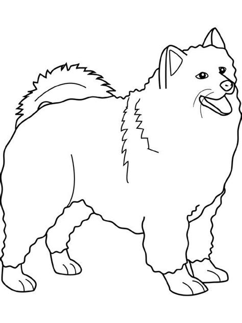 Dog Color Pages Printable Dogs Coloring Pages Samoyed Dogs Kids