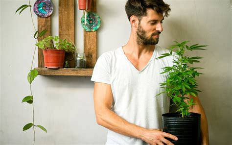 5 reasons why you should consider growing your own cannabis leafly