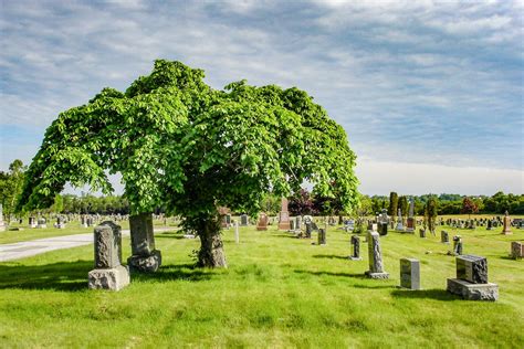 Burial Plots Cedar Hill Greenwood Cemetary