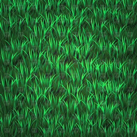 Grass Background Texture