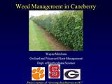Images of University Of Georgia Turfgrass Management Online