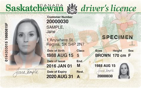 Drivers Licence Sgi