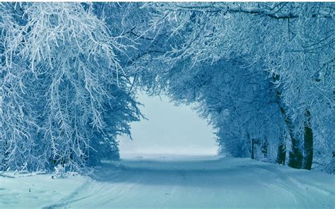 Imagini Desktop Iarna