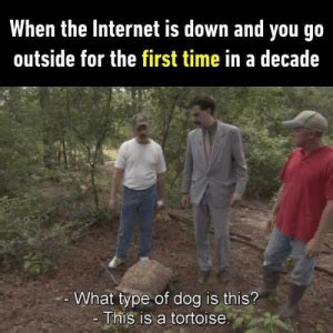 Afrihost in south africa, china unicom in china, tierpoint in massachusetts, izzi in mexico, starlink in district of. 25+ Best the Internet Is Down Memes | the Internets Memes ...