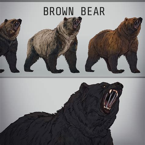 Artstation Brown Bear Concepts Hobby Project