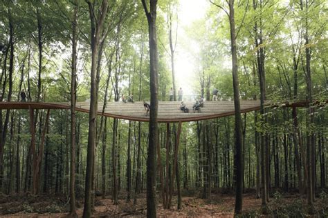 Effekts Treetop Experience Observation Tower Offers A Breathtaking