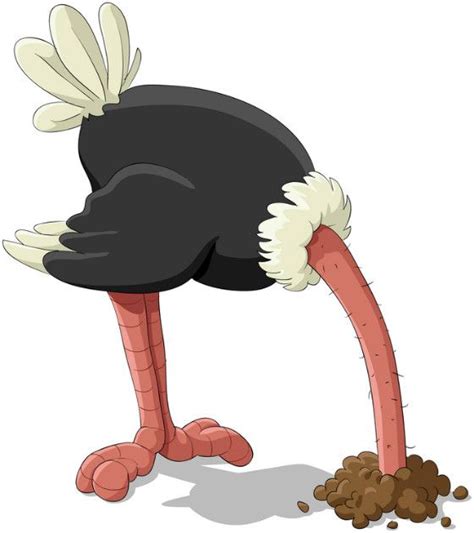 Ostrich With Its Head In The Sand Relationship Nurturing Plant Needs