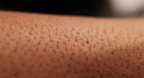 5 Things Your Body Hair Is Trying To Tell You About Your Health