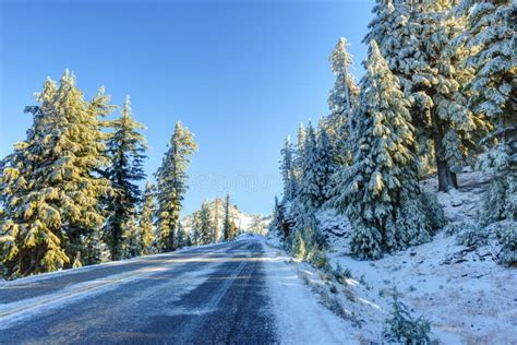Snowy Winter Road Stock Photo Image Of Trees Frost 66030282