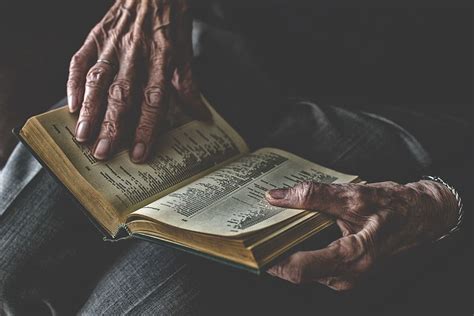Book Human Adults Literature Hand Woman Hands Older People