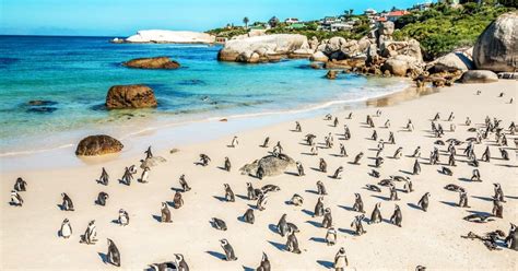De Kust Van Zuid Afrika Dit Zijn De Mooiste Kustplaatsen En Stranden