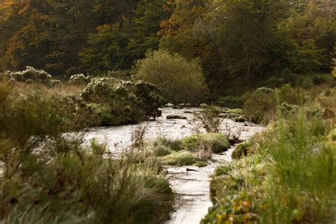 Dartmoor stream 2