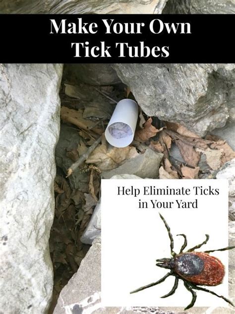 For months i have been searching for a natural homemade tick repellent. Tick Tubes - Just Call Me Homegirl | Tick tubes, Tick spray for yard, Tick control for yard