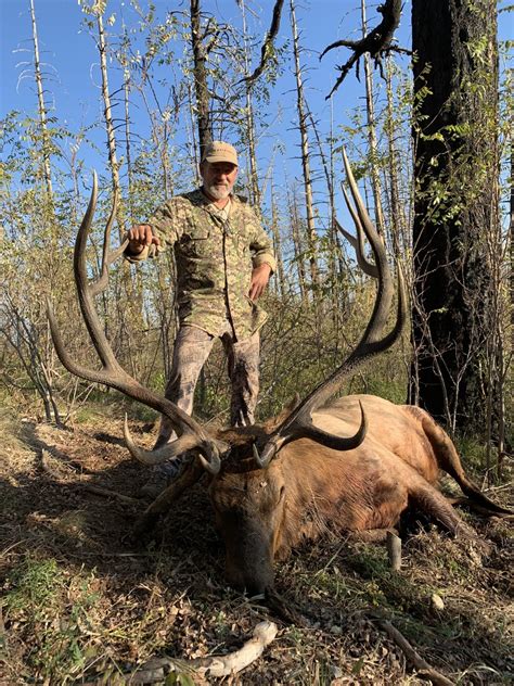 Pending New World Record Elk Taken In Arizona Airgun Hunting Legion