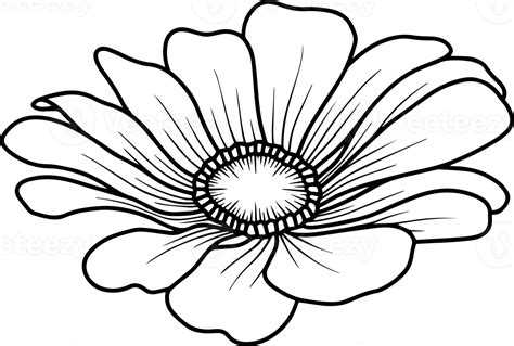 Hand Drawn Flower Sketch Line Art 10863424 Png