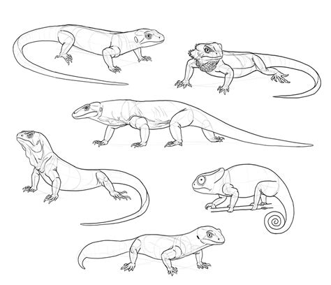 Sketchbook Original How To Draw Lizards Monika Zagrobelna Cute