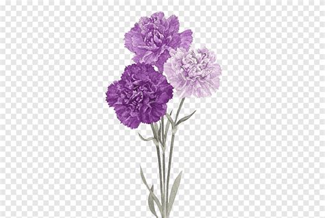 Flores Moradas Flores Moradas Acuarela Png PNGEgg