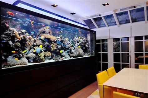 Aquarium Dans Le Salon En Plus De 100 Idées Magnifiques