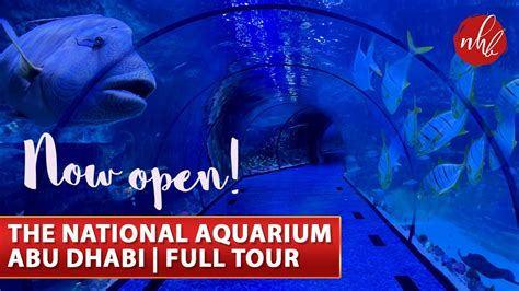 The National Aquarium Abu Dhabi The Largest Aquarium In The Middle