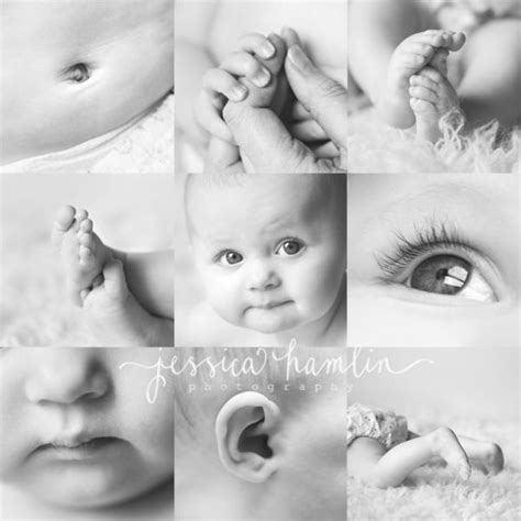 6 Month Baby Photo Shoot Direct Link By Coeny Photographing Babies