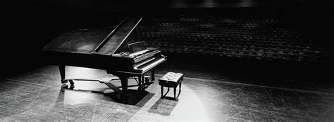 Amerika Demonstration Phänomen piano stage Natur Weltweit schlucken