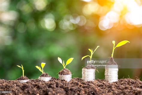 Money Grow Up High-Res Stock Photo - Getty Images