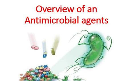 Overview Of An Antimicrobial Agents Microbiology Notes