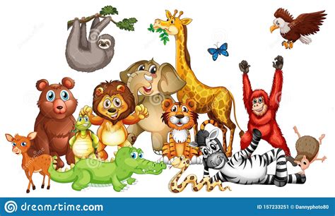 Many Cute Animals On White Background Stock Vector Illustration Of